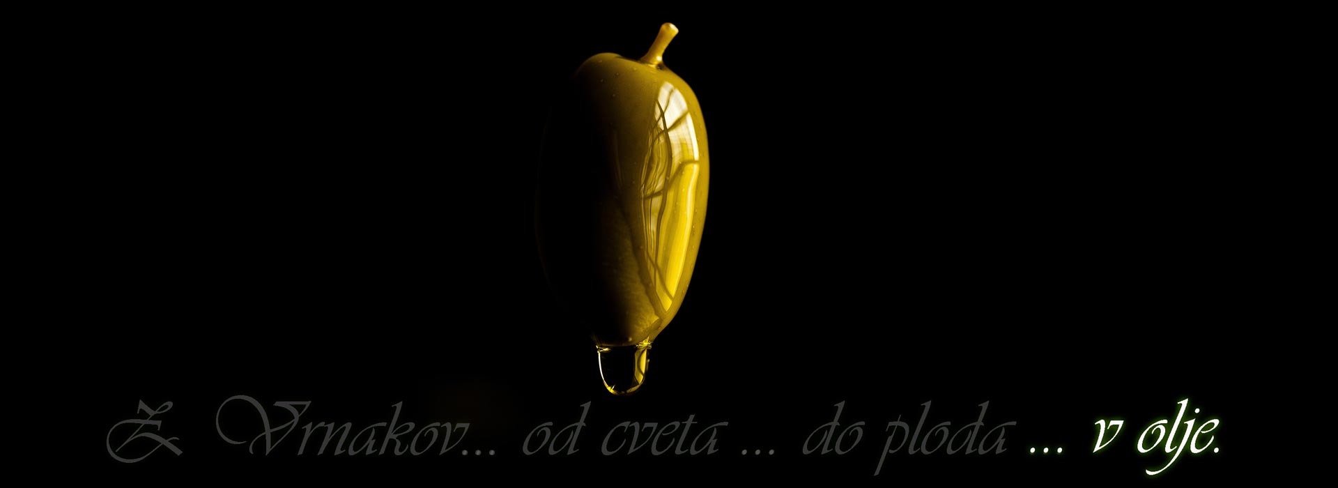 banner4.jpg